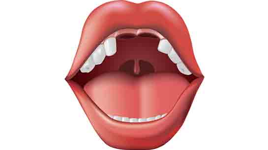 Küçük Dil Şişmesi Belirtileri ve Tedavisi